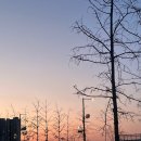 세븐일레븐 시흥능곡점 | W12-13 : 봄날의 여수여행/아차산역 계화/영화 파묘/ 신당동 미니네