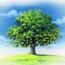 The Old Oak 이미지