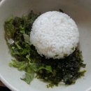 벌교꼬막큰마당식당