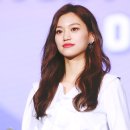 다도연 이미지