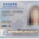 행정사사무소 나무 이미지