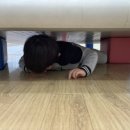 형제3태권도 이미지