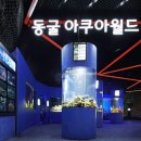 광명동굴 공룡체험전 이미지