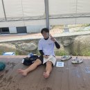 엔이능률주니어랩영어교습소 - 사하구 하신중앙로 180 | 남창 능률엘리트영어학원 우리들만의 ⭐️HOT썸머캠프⭐️후기!!
