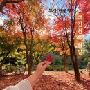 대천천누리길 화장실 이미지
