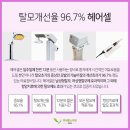 팜스헤어 이미지