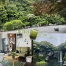 국수집닐니리맘보 | 5월, 초 여름의 녹음 : 서귀포 초록여행🌿(천지연폭포, 제철과 사람)