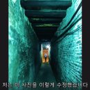 (주)아날로직 | [서울런4050]"모바일 사진 편집 전문가 되기" - 강좌 후기