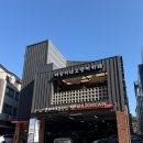 수원-1393 | 수원 호매실 고양이카페 추천｜깔끔하고 쾌적한 야옹이네고양이카페 후기