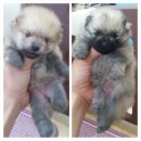 큐티 Daum카페