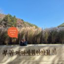 부귀주유소 이미지