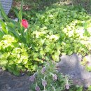 용전동 주민센터 이미지