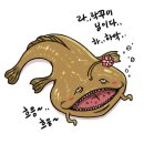 꽃다비 이미지