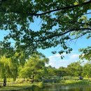 용산가족공원 이미지