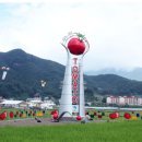 토마토스토리 이미지
