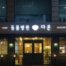 강남다온동물병원 이미지