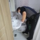 2349 | 바퀴벌레 잡는법 새끼 알집 똥 배설물 원룸 점검 방역업체 후기