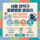 관악동물종합병원 | 서울 관악구 동물병원 총정리 예약 방법부터 병원 찾기까지