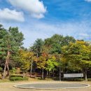 수지체육공원 풋살장 이미지