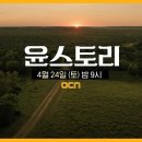 윤스토리 Daum카페