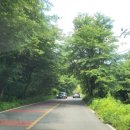 들물 관광농원 이미지