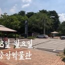 용산-이촌-1947 | 박물관 손기정 전시회! - "두발로 세계를 제패하다" 전시 후기 | 손기정 선수와 그 후배들의 이야기야기