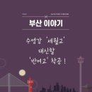 수영강 세월교 이미지