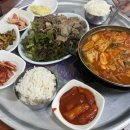 대구 경북대 유정분식 경대쪽문 가성비 백반집