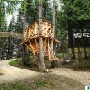 트리하우스 이미지