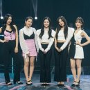 빨간맛 마이데일리