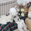 리앤드딩 이미지