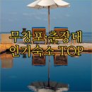 테라마르 | 무창포 춘장대 해수욕장 근처 인기 펜션과 풀빌라 시설 분석