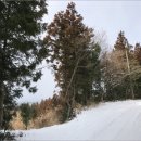 서호동-10 이미지