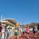 밀양종합운동장 | 달리기기록170-2026 제 22회 밀양 아리랑 하프마라톤 대회 후기