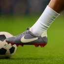 작품3(캥거루) 이미지