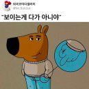 2025 대학교 토익 일반편입 독학 합격 후기 (서울과학기술대, 성신여대, 한양대에리카 최종합격)