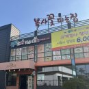 대전 쭈꾸미 맛집 복사꽃피는집 솔직 후기
