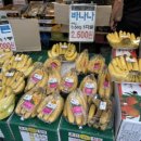 육과채