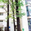 올림픽로43길 이미지