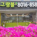 백현8단지부동산공인중개사사무소 이미지