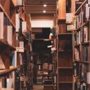 올재 | 송원배 교수의 문화컬럼 (8) - 내일의 순 우리말은?