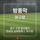 연세대학교삼애캠퍼스연세대야구장 네이버블로그