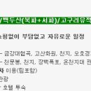 심양여행사 이미지
