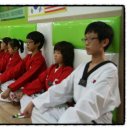 경희영어태권도 이미지