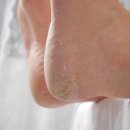 배곧네일샵 보라미네일 :: 봄맞이 패디플래닝 후기