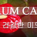자명약국 이미지