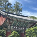 (주)바람난강진 | 전남 강진 가볼만한곳 백련사 바다 보이는 사찰 전라도 여행코스