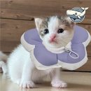 카라소프트 쇼핑하우