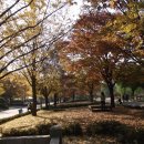 보람공원 이미지