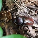 제일농장1 이미지